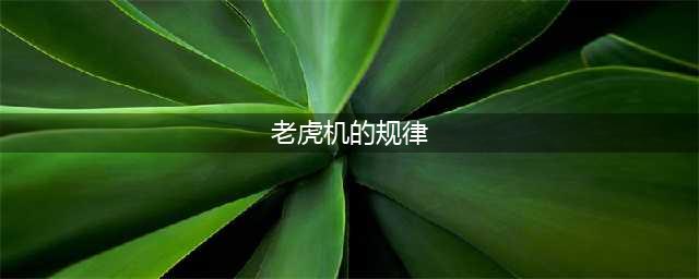 《星露谷物语像素谷》老虎机规律解析攻略