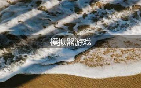 模拟器游戏大全中文版有什么 模拟器游戏合集中文版推荐2022(模拟器游戏)