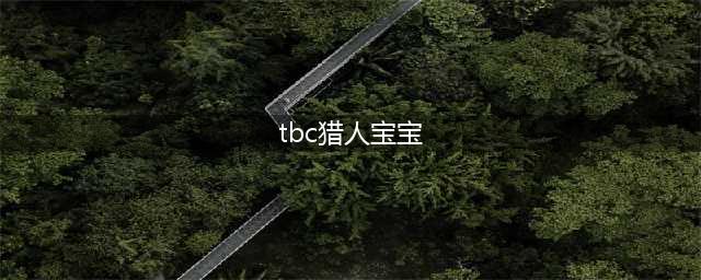 《魔兽怀旧服》猎人带什么宝宝练级 猎人带宝宝推荐