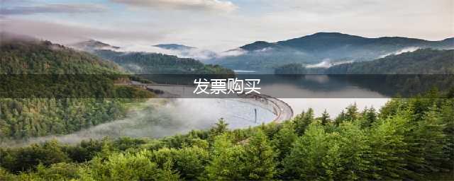 明确了！3个方法迅速上手网购发票，手慢无！(发票购买)