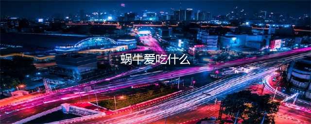 《旅行青蛙》蜗牛喜欢吃什么汇总 蜗牛食物喜好介绍(蜗牛爱吃什么)