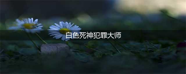 《犯罪大师》白色死神真相是什么 白色死神犯罪大师真相解析(白色死神犯罪大师)