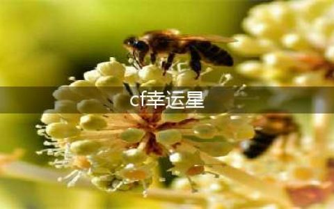 《CF》2020幸运星轮回活动怎么样 幸运星轮回活动介绍(cf幸运星)