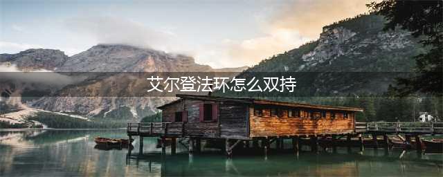 《艾尔登法环》怎么双持武器 老头环双持武器操作方法
