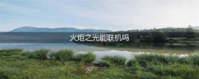 火炬之光无限可以联机吗 游戏玩法特点详解