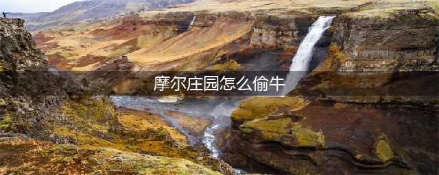 摩尔庄园如何偷牛 偷牛方法分享
