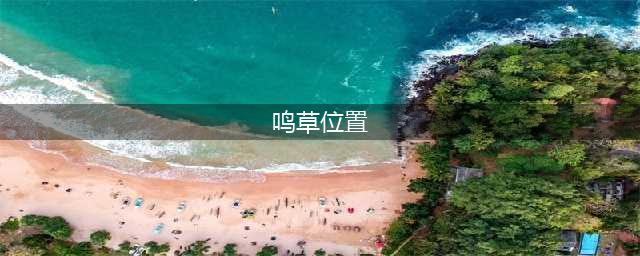 原神鸣草位置在哪