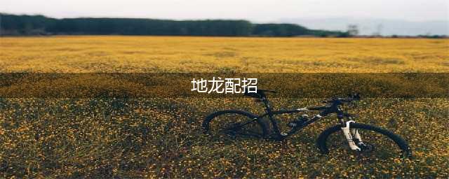 口袋妖怪究极日月Mega地龙配招 M烈咬陆鲨性格对战玩法(地龙配招)