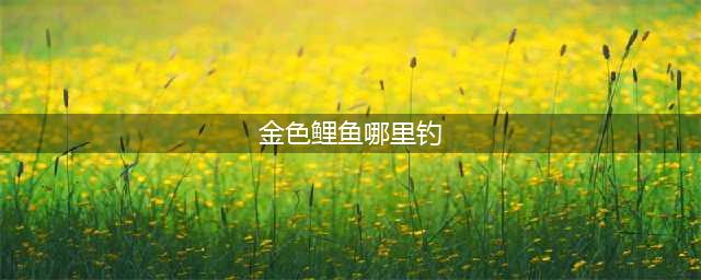 《星露谷物语》CARP金色鲤鱼在哪 金色鲤鱼位置分享(金色鲤鱼哪里钓)
