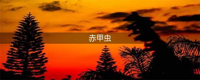 《赛尔号星球大战》怎么捕捉赤甲虫 赤甲虫捕捉攻略(赤甲虫)