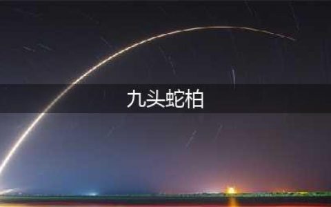 新盗墓笔记九头蛇柏副本怎么打 九头蛇柏副本通关攻略