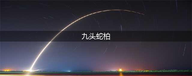 新盗墓笔记九头蛇柏副本怎么打 九头蛇柏副本通关攻略