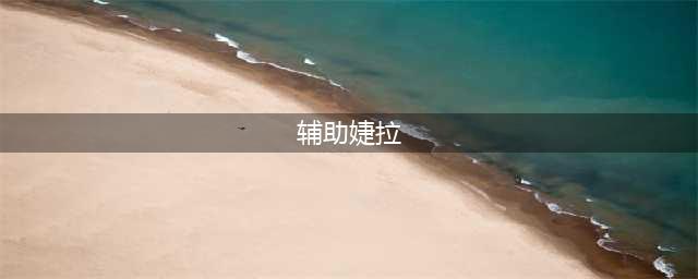 《LOL》11.10版本辅助婕拉玩法介绍 辅助婕拉怎么玩(辅助婕拉)