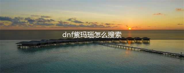 dnf拍卖行怎么搜紫玛瑙 dnf拍卖行搜不到紫玛瑙(dnf紫玛瑙怎么搜索)