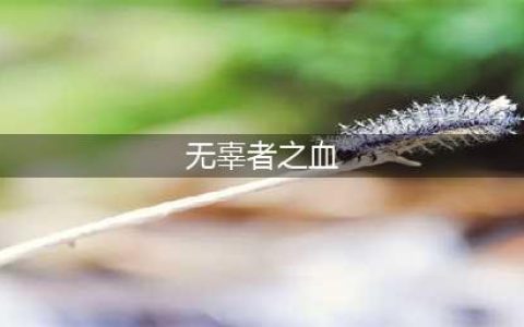 《魔兽世界怀旧服》无辜者之血怎么获得 无辜者之血获取攻略(无辜者之血)