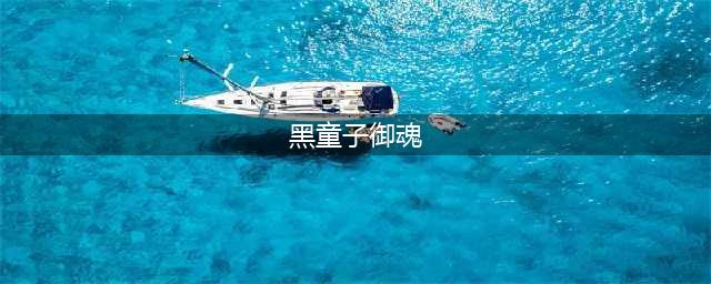 《阴阳师手游》黑童子御魂最强搭配攻略