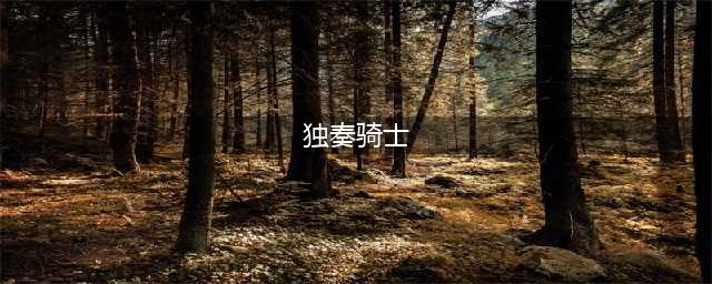 《独奏骑士》新手攻略 新手开局注意事项一览(独奏骑士)