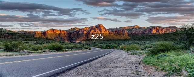 《碧蓝航线》Z25值得入手吗 碧蓝航线Z25技能属性详解分享(z25)