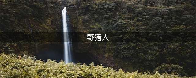 《炉石传说》野猪人新卡如何搭配 野猪人阵容搭配推荐(野猪人)