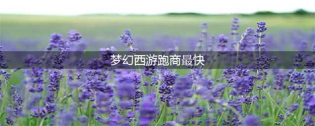 梦幻西游跑商最快路线怎么走 跑商最快路线推荐2022