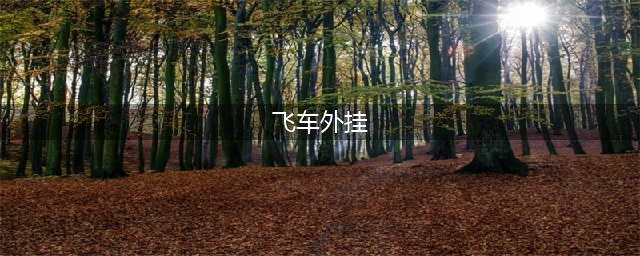 《qq飞车手游》外挂是真的吗 QQ飞车外挂介绍(飞车外挂)