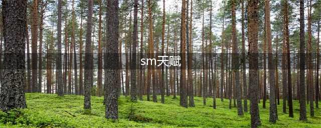 《魔兽世界怀旧服》萨满练级用什么天赋 萨满练级天赋选择分享(sm天赋)
