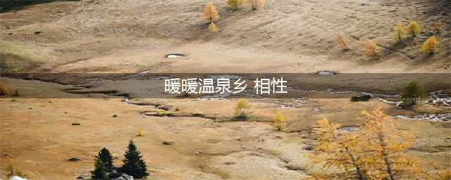 经营小温泉旅店《暖暖温泉乡》汉化版评测(暖暖温泉乡 相性)