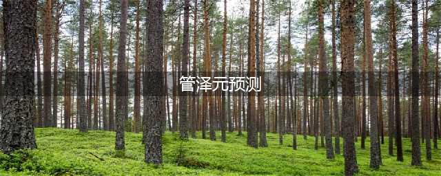 「武磊连线范志毅」与「管泽元预测欧洲杯」：足球盛宴上的跨界对话与神预测大揭秘(管泽元预测)