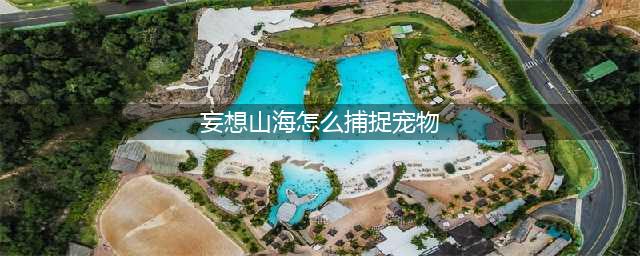 妄想山海怎么捕捉宠物
