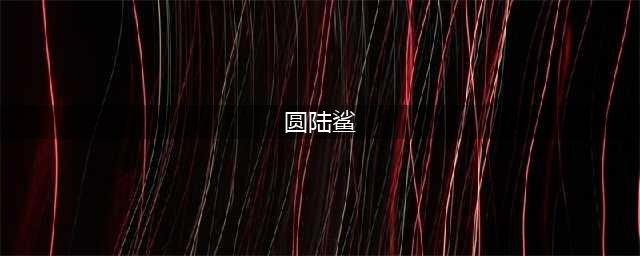 《宝可梦朱紫》圆陆鲨在哪里 圆陆鲨位置分享