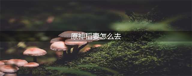 原神怎么去稻妻岛 稻妻怎么去的方法