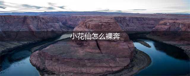 《小花仙》新手怎么玩 新手入门必看攻略(小花仙怎么裸奔)