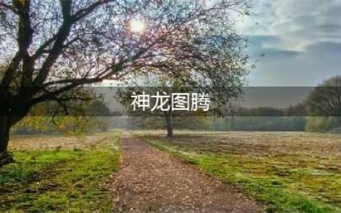 《LOL》李青的神龙图腾活动内容是什么 神龙图腾活动规则(神龙图腾)