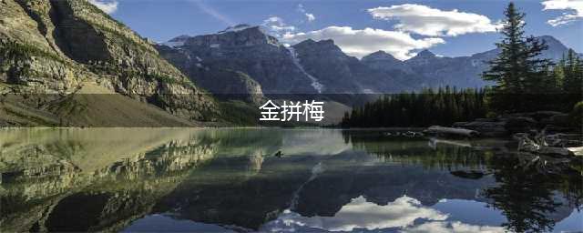 《明日方舟》干员英文代号是什么 全干员英文代号汇总(金拼梅)
