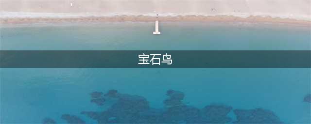 宝石鸟 宝石鸟星露谷