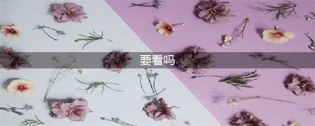 《我也是大侠》闭关加速视频看不看 闭关加速视频观看建议(要看吗)
