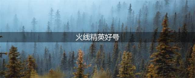 火线精英好号和密码真的大全 火线精英土豪号和密码有五星帝王(火线精英好号)