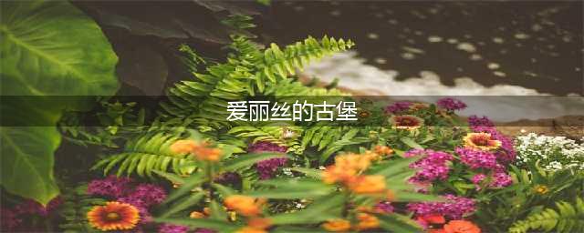 不思议迷宫爱丽丝古堡怎么过 爱丽丝古堡通关攻略
