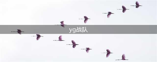 《英雄联盟》YG战队是谁 YG战队资料及选手成员汇总(yg战队)