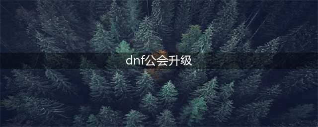《DNF手游》公会怎么升级 公会升级方法一览(dnf公会升级)