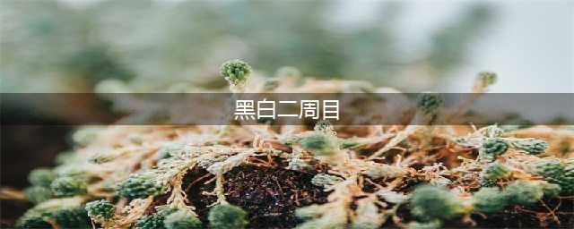 《口袋妖怪黑白2》二周目怎么过 二周目通关攻略(黑白二周目)