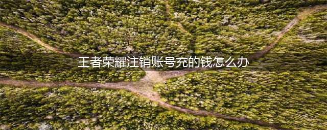 《王者荣耀》注销账号充的钱解决办法 注销账号可以退充的钱吗(王者荣耀注销账号充的钱怎么办)