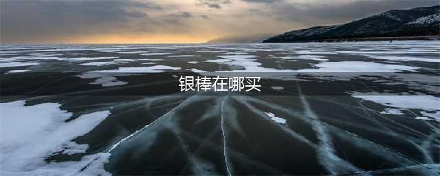 银棒在哪买(银棒在哪买)