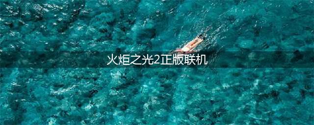 《火炬之光2》如何联机 联机方法分享(火炬之光2正版联机)