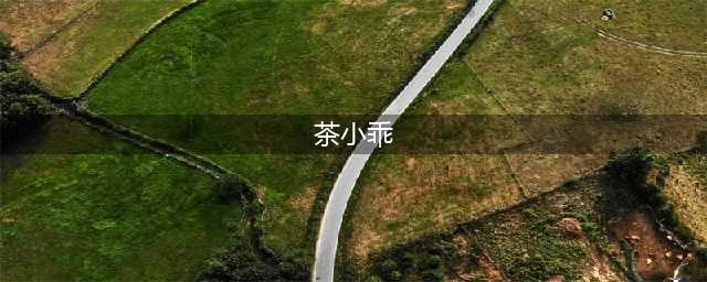 《古剑奇谭3》茶小乖在什么位置 茶小乖位置分享(茶小乖)