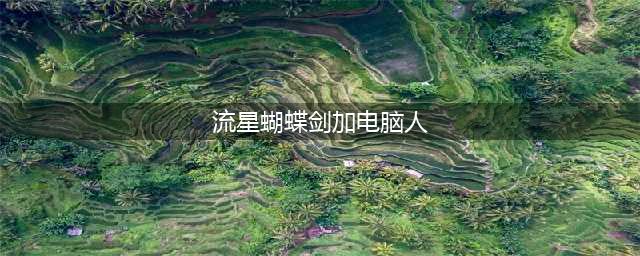 流星蝴蝶剑怎么加电脑人 流星蝴蝶剑加电脑人教程(流星蝴蝶剑加电脑人)