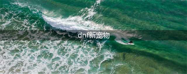 dnf新晋回归特别宠物外观 dnf2022新晋回归特别宠物属性