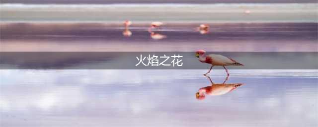 《魔兽世界怀旧服》火焰花在哪 火焰花分布位置一览(火焰之花)