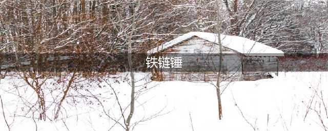 《CF》无视防弹衣武器有哪些 无视防弹衣武器推荐(铁链锤)