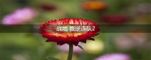 战地叛逆连队2下载链接 战地叛逆连队2安卓版下载2022(战地 叛逆连队2)